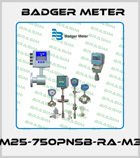 M25-750PNSB-RA-M3 Badger Meter