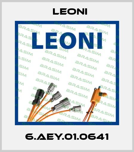 6.AEY.01.0641 Leoni