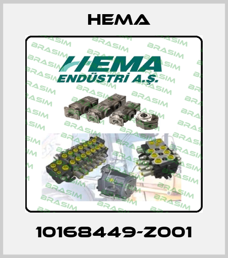 10168449-Z001 Hema