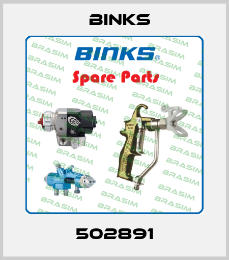 502891 Binks