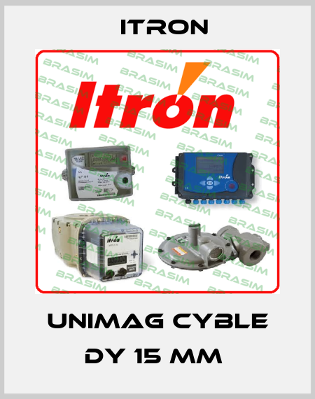Itron-Unimag Cyble Dy 15 mm  price