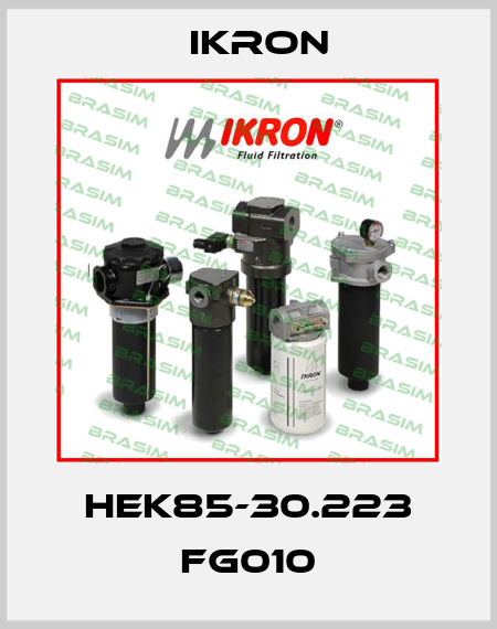 HEK85-30.223 FG010 Ikron