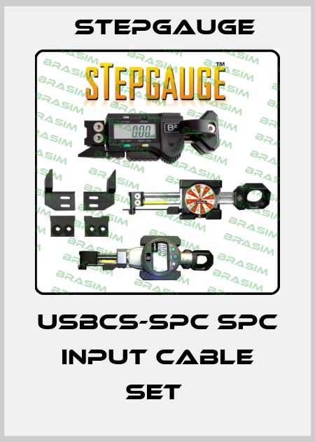 USBCS-SPC SPC INPUT CABLE SET  Stepgauge
