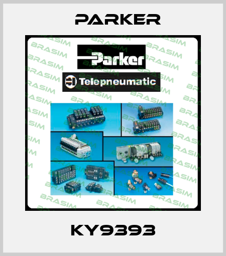 KY9393 Parker