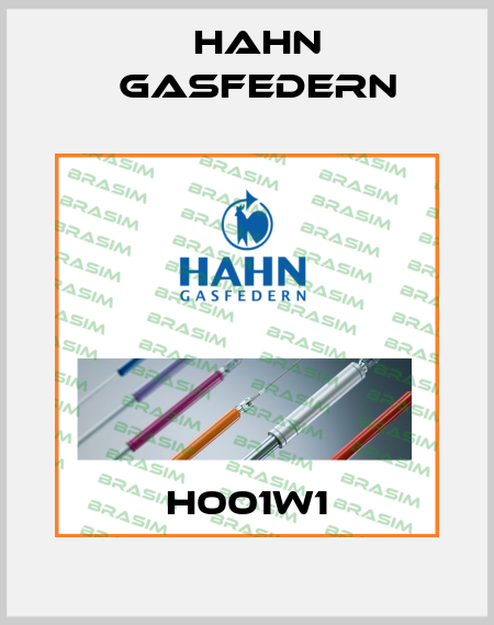 H001W1 Hahn Gasfedern