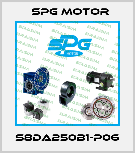 S8DA250B1-P06 Spg Motor
