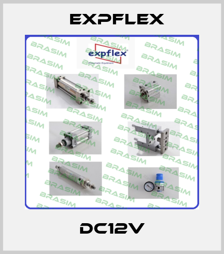 DC12V EXPFLEX