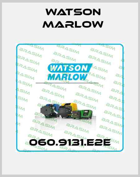060.9131.E2E Watson Marlow
