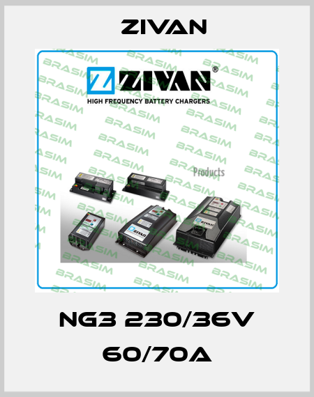 NG3 230/36V 60/70A ZIVAN