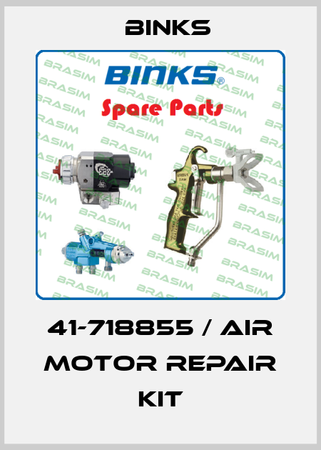 41-718855 / Air Motor Repair Kit Binks