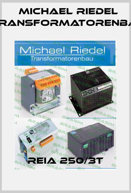 REIA 250/3T Michael Riedel Transformatorenbau