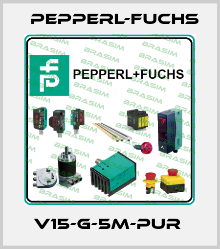 V15-G-5M-PUR  Pepperl-Fuchs