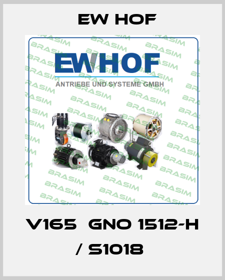 V165  GNO 1512-H / S1018  Ew Hof