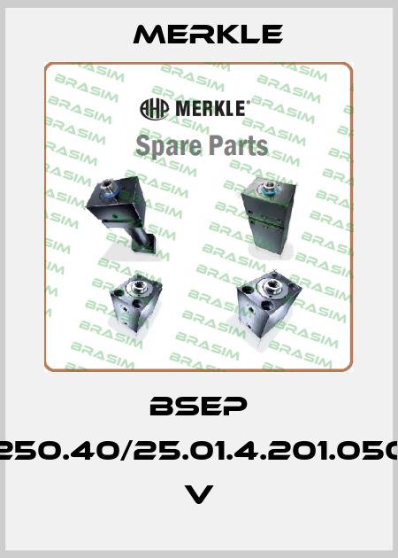 BSEP 250.40/25.01.4.201.050 V Merkle