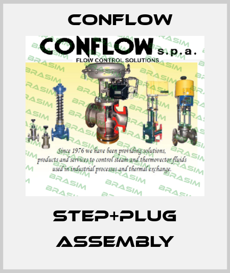 Step+plug assembly CONFLOW