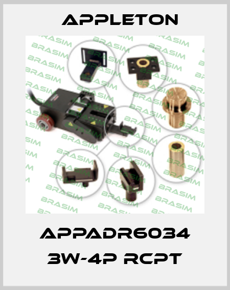 APPADR6034 3W-4P RCPT Appleton