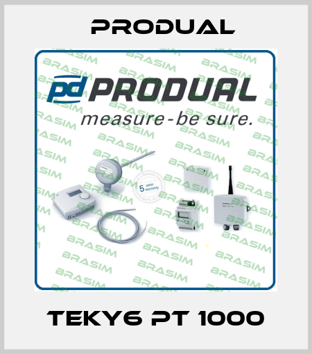 TEKY6 PT 1000 Produal