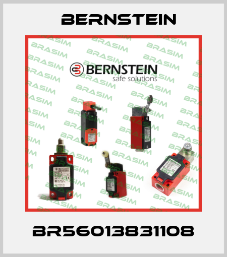 BR56013831108 Bernstein