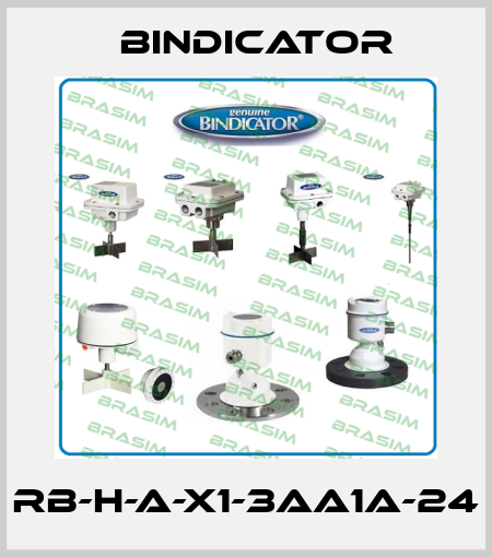 RB-H-A-X1-3AA1A-24 Bindicator