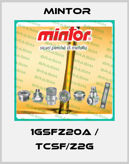 1GSFZ20A / TCSF/Z2G Mintor