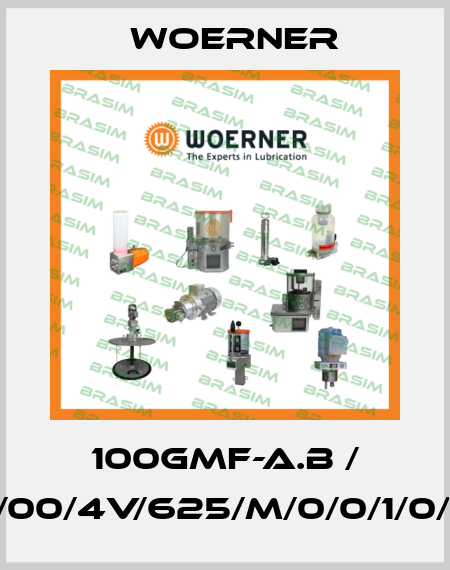 100GMF-A.B / GMF-A.B/00/4V/625/M/0/0/1/0/0/0/0/1/0 Woerner