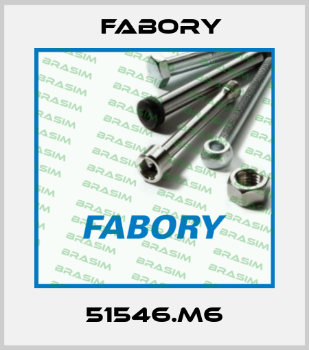 51546.M6 Fabory