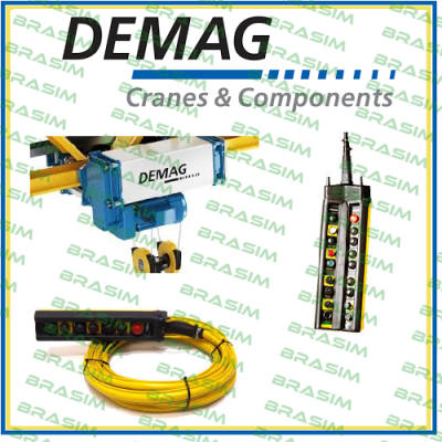 DCS-Pro 5-500 1/1 H5 VS8-15 380-480/60 Demag