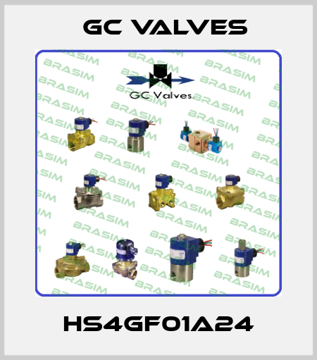 HS4GF01A24 GC Valves