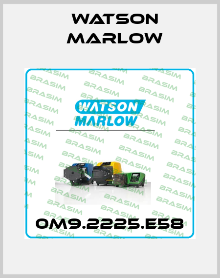 0M9.2225.E58 Watson Marlow