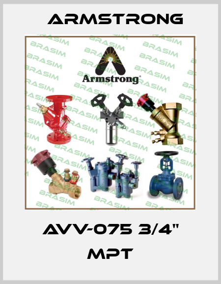 AVV-075 3/4" MPT Armstrong