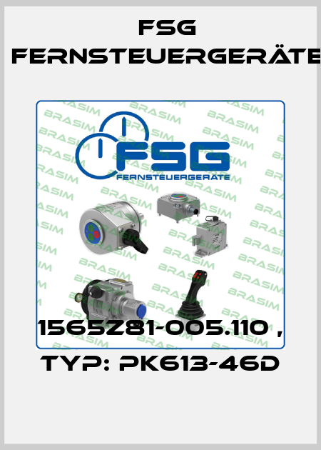 1565Z81-005.110 , Typ: PK613-46d FSG Fernsteuergeräte