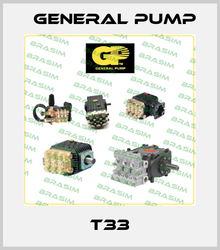 T33 General Pump