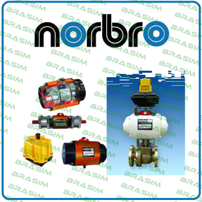 spare part kit for 20 ARS 40 Norbro