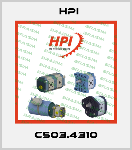 C503.4310 HPI