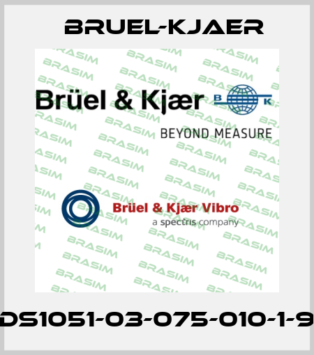 DS1051-03-075-010-1-9 Bruel-Kjaer