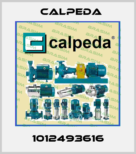 1012493616 Calpeda