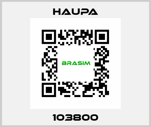 103800 Haupa