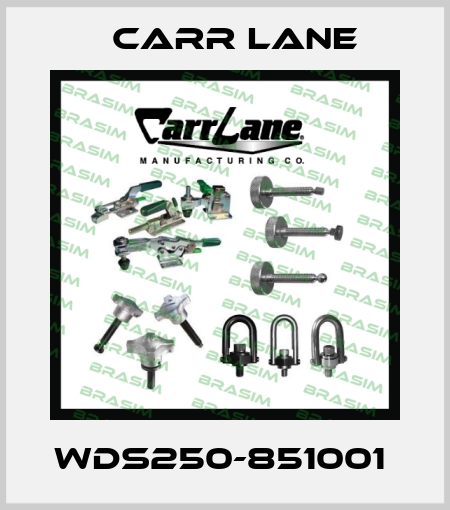 WDS250-851001  Carr Lane