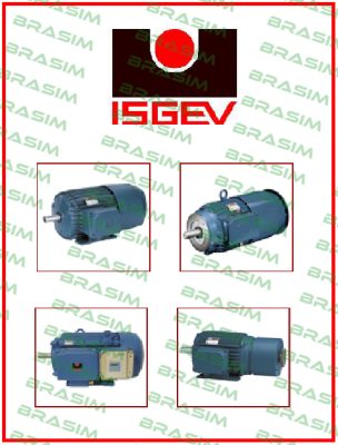 5BS 63 A4 OEM Isgev