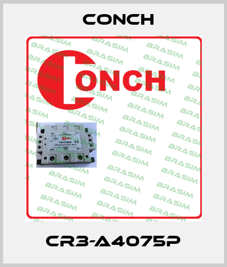 CR3-A4075P Conch