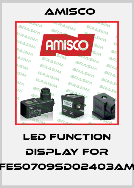 LED function display for FES0709SD02403AM Amisco