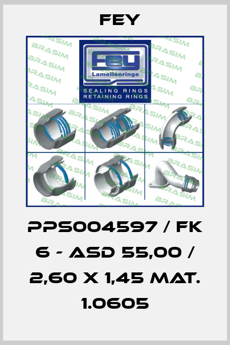 PPS004597 / FK 6 - ASD 55,00 / 2,60 x 1,45 Mat. 1.0605 Fey