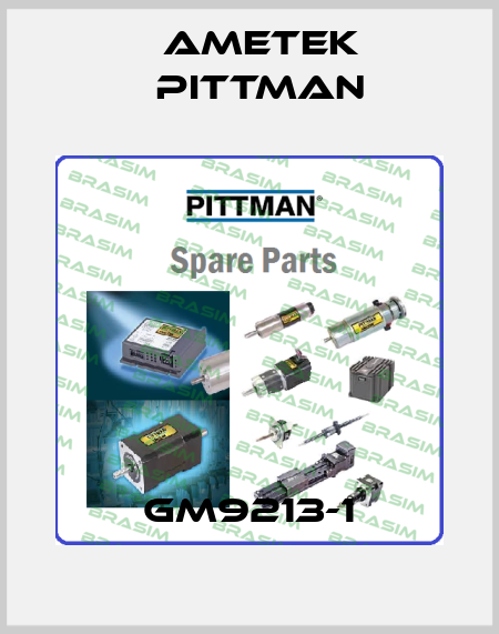 GM9213-1 Ametek Pittman