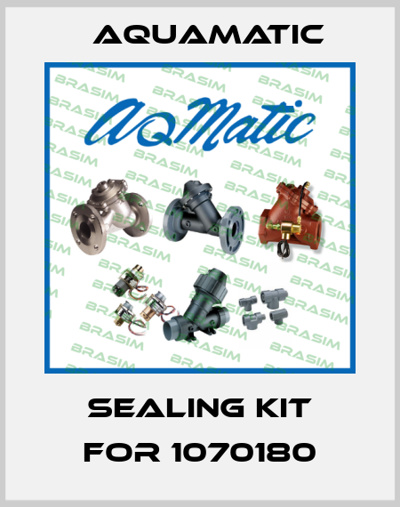 sealing kit for 1070180 AquaMatic