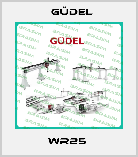 WR25  Güdel