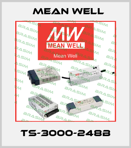 TS-3000-248B Mean Well