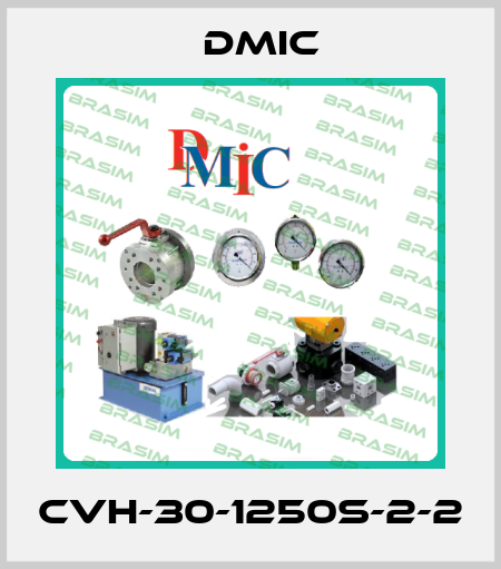 CVH-30-1250S-2-2 DMIC