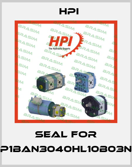 seal for P1BAN3040HL10B03N HPI