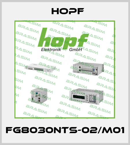 FG8030NTS-02/M01 Hopf