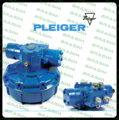 EHS-D3/620-0024 Pleiger